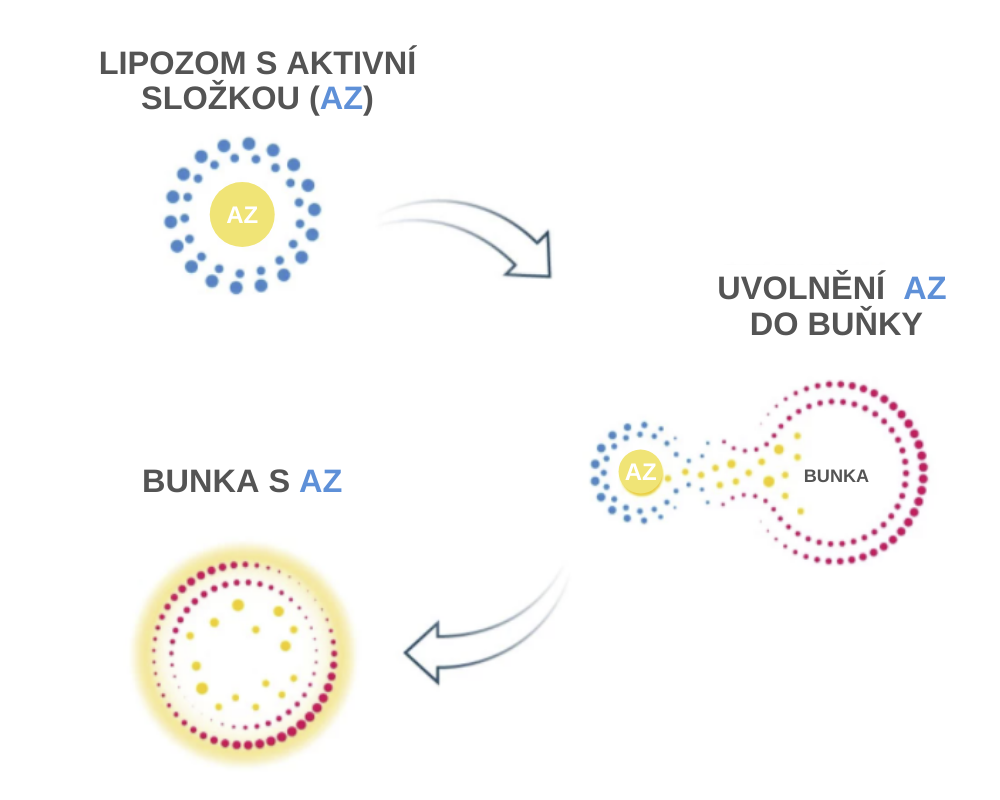 LIPOSOMAL TECHNOLOGY kolagendrink